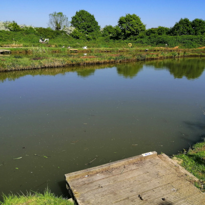 Aerial view of Viking Fishery